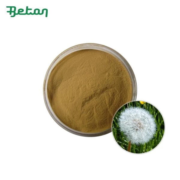 Organic Dandelion Powder