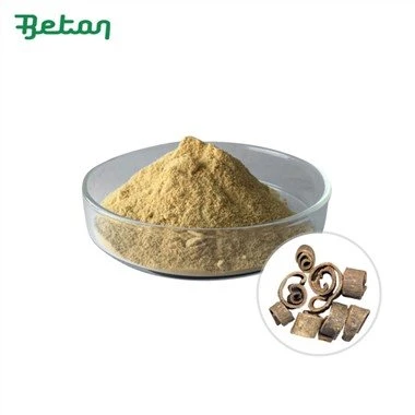 Ekstrakt magnolije officinalis u prahu
