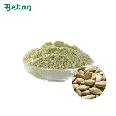 Organski proteini bundeve u prahu